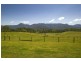 Bellingen NSW 2454