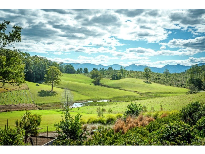 59 Reids Road, Bellingen NSW 2454