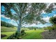59 Reids Road, Bellingen NSW 2454