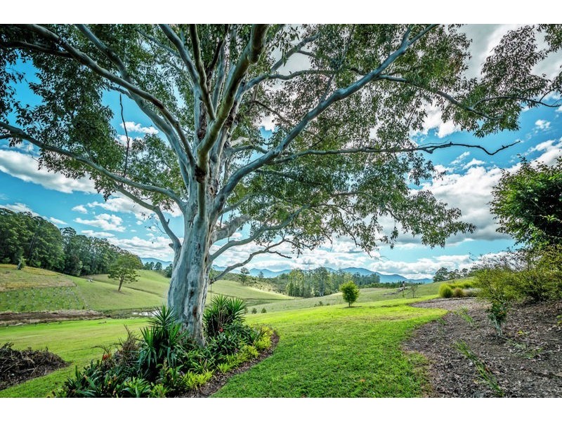 59 Reids Road, Bellingen NSW 2454