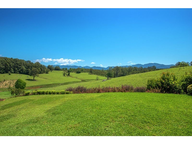 59 Reids Road, Bellingen NSW 2454
