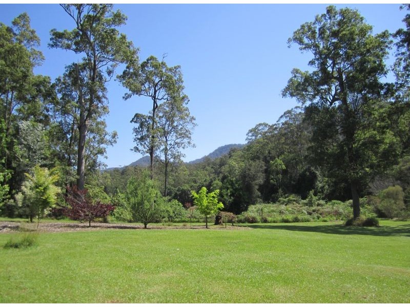 816 Summervilles Road, Bellingen NSW 2454