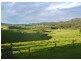 325 Dome Road, Dorrigo NSW 2453