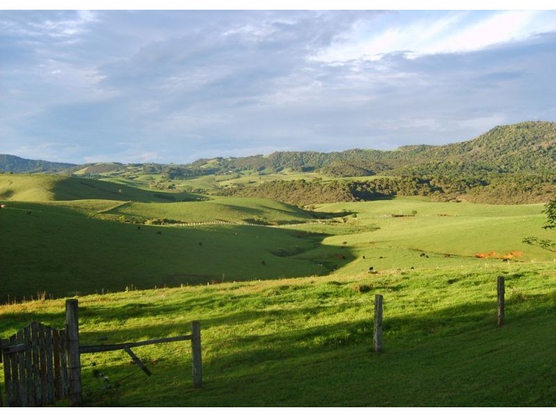 325 Dome Road, Dorrigo NSW 2453