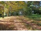 325 Dome Road, Dorrigo NSW 2453