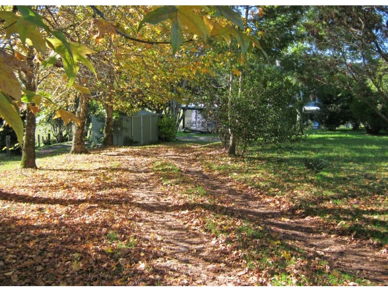 325 Dome Road, Dorrigo NSW 2453