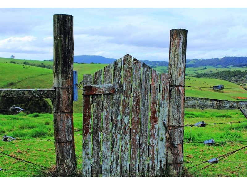 325 Dome Road, Dorrigo NSW 2453