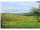 325 Dome Road, Dorrigo NSW 2453