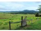 325 Dome Road, Dorrigo NSW 2453