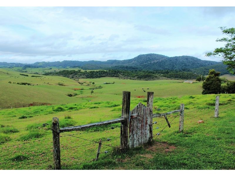 325 Dome Road, Dorrigo NSW 2453