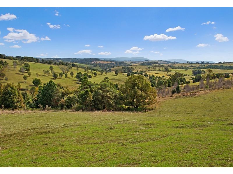 Lot 1 Prior Drive, Coopers Shoot NSW 2479