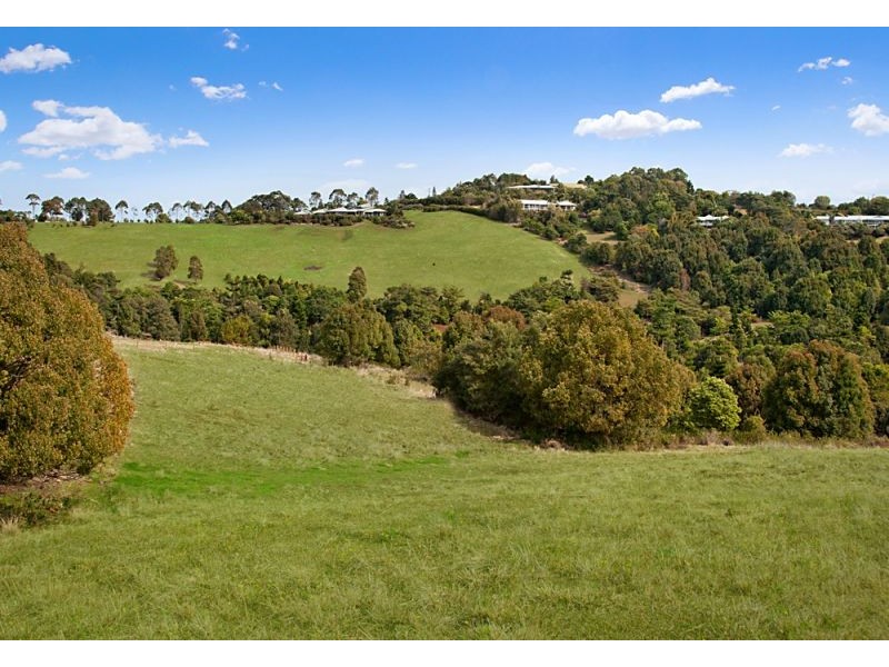 Lot 1 Prior Drive, Coopers Shoot NSW 2479