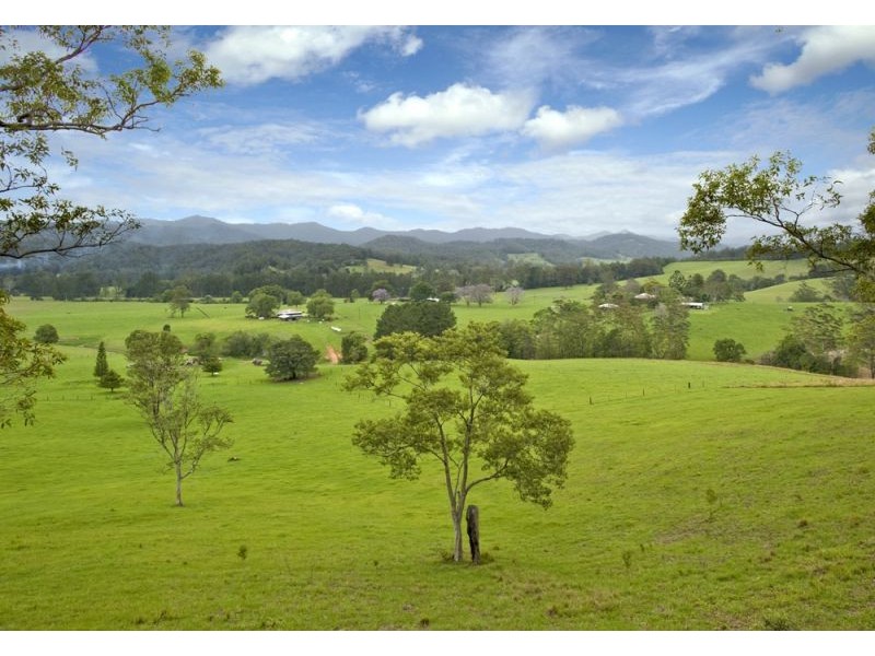2749 Waterfall Way, Bellingen NSW 2454