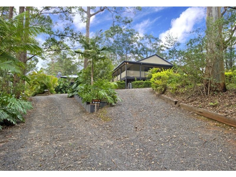 2749 Waterfall Way, Bellingen NSW 2454