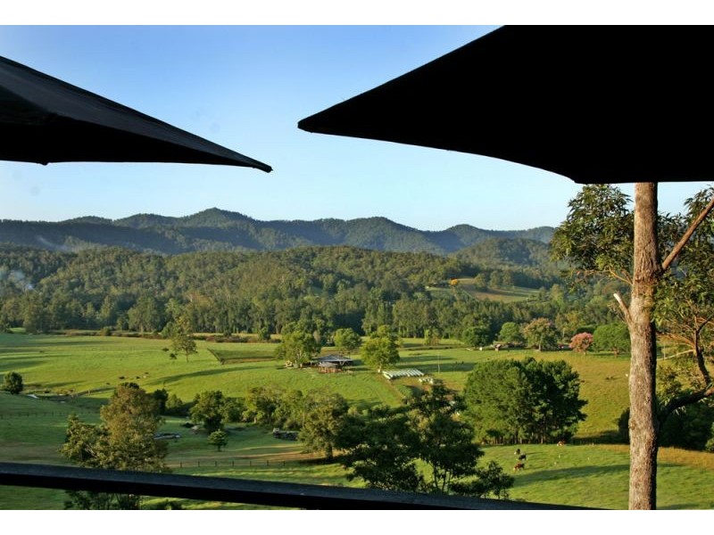 2749 Waterfall Way, Bellingen NSW 2454