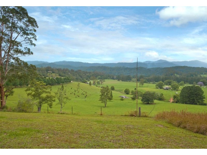 2749 Waterfall Way, Bellingen NSW 2454