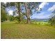 2749 Waterfall Way, Bellingen NSW 2454