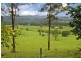 2749 Waterfall Way, Bellingen NSW 2454