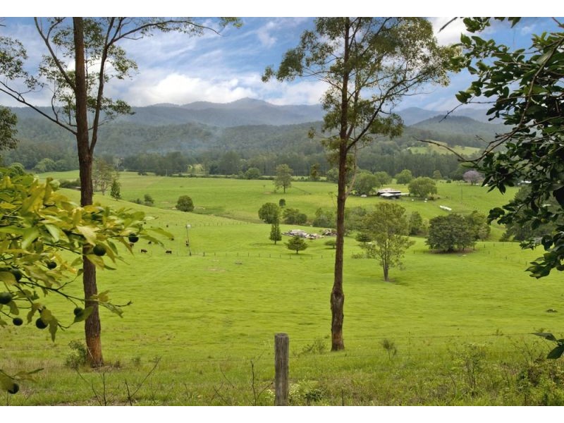 2749 Waterfall Way, Bellingen NSW 2454