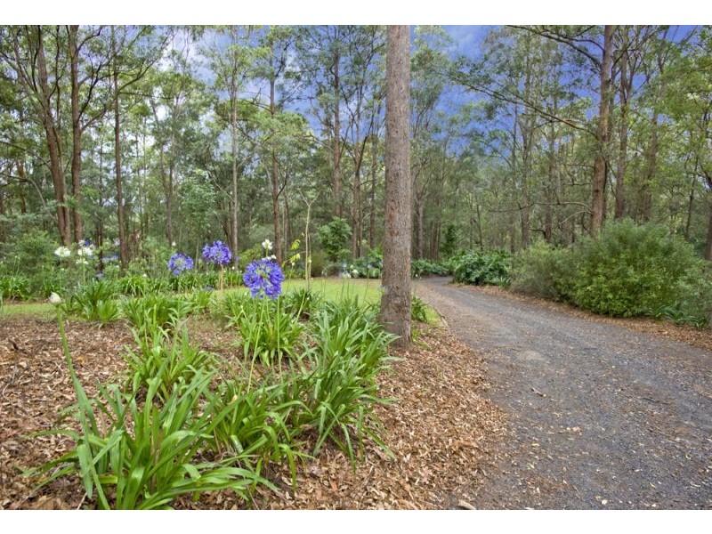 2749 Waterfall Way, Bellingen NSW 2454