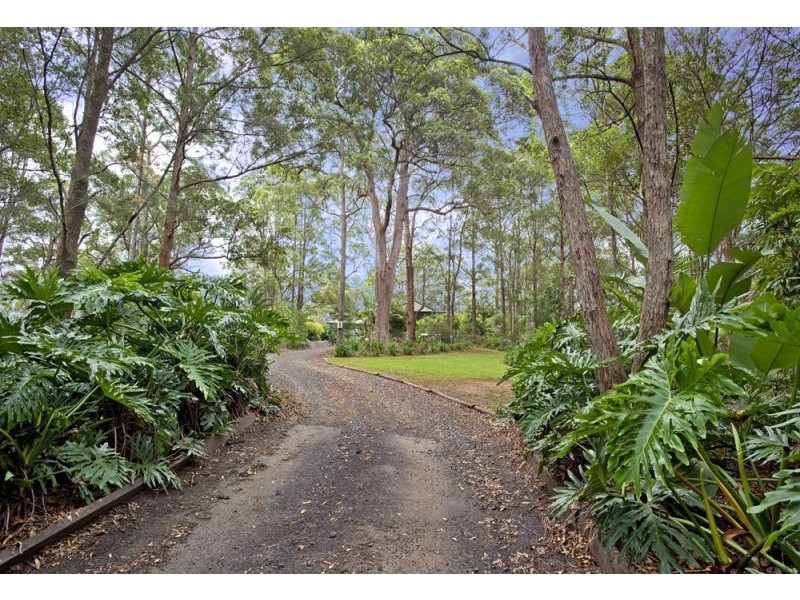 2749 Waterfall Way, Bellingen NSW 2454