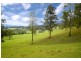 2749 Waterfall Way, Bellingen NSW 2454