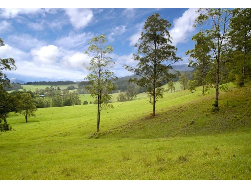 2749 Waterfall Way, Bellingen NSW 2454