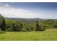 4948 Waterfall Way, Dorrigo NSW 2453