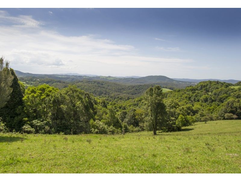 4948 Waterfall Way, Dorrigo NSW 2453