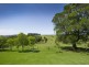 4948 Waterfall Way, Dorrigo NSW 2453