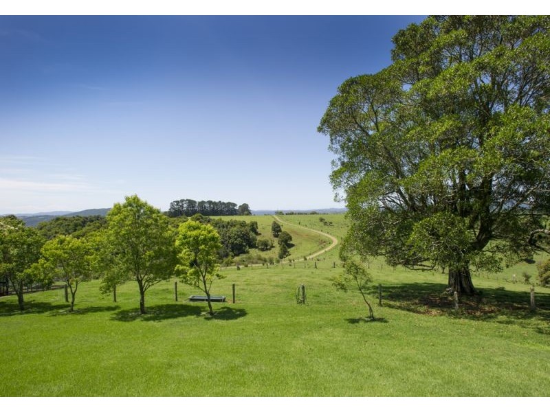 4948 Waterfall Way, Dorrigo NSW 2453