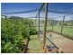 4948 Waterfall Way, Dorrigo NSW 2453