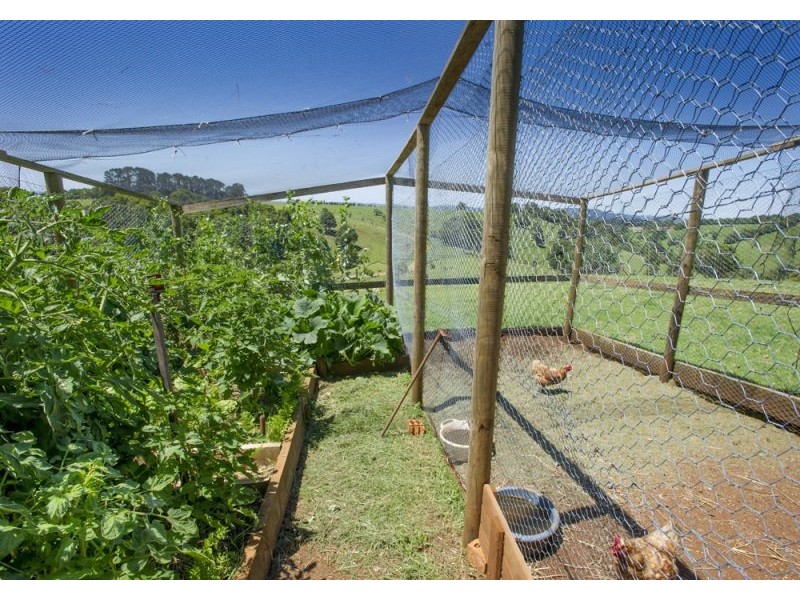 4948 Waterfall Way, Dorrigo NSW 2453