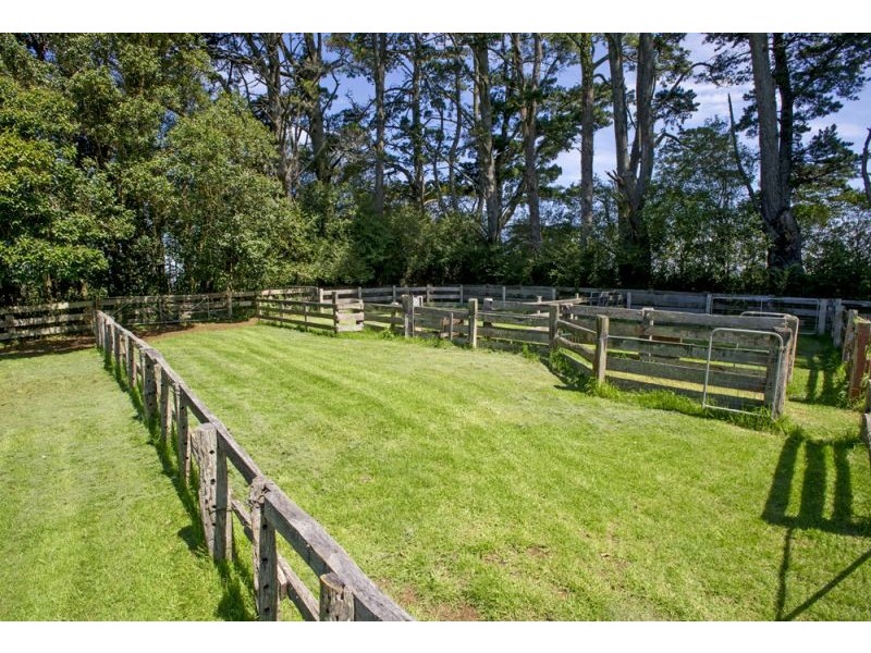 4948 Waterfall Way, Dorrigo NSW 2453