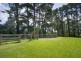 4948 Waterfall Way, Dorrigo NSW 2453