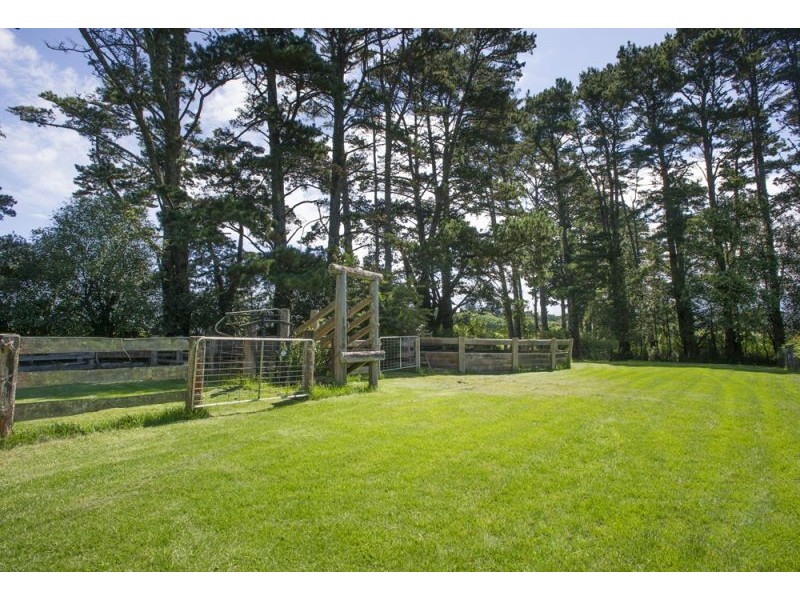 4948 Waterfall Way, Dorrigo NSW 2453