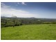 4948 Waterfall Way, Dorrigo NSW 2453