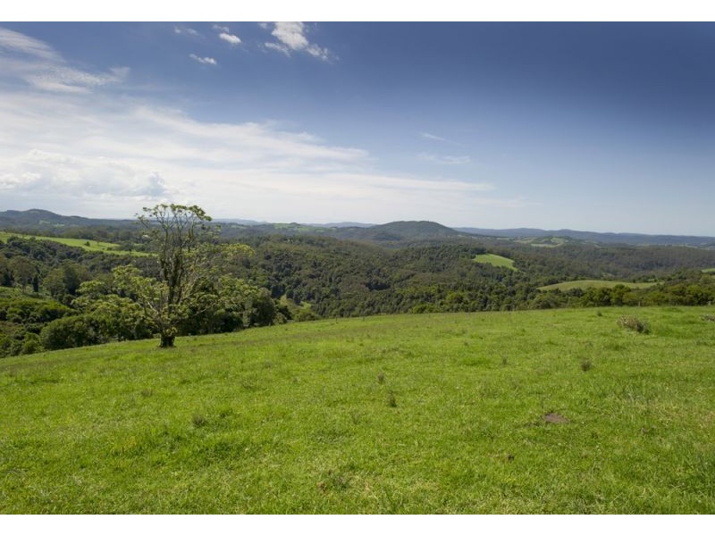 4948 Waterfall Way, Dorrigo NSW 2453
