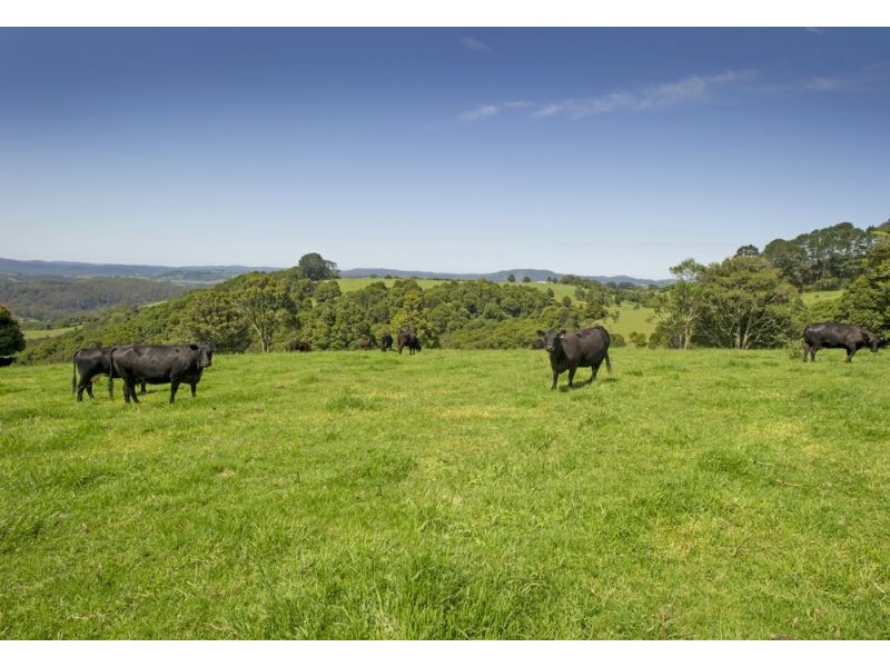 4948 Waterfall Way, Dorrigo NSW 2453