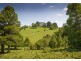4948 Waterfall Way, Dorrigo NSW 2453