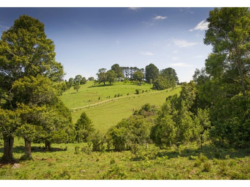 4948 Waterfall Way, Dorrigo NSW 2453