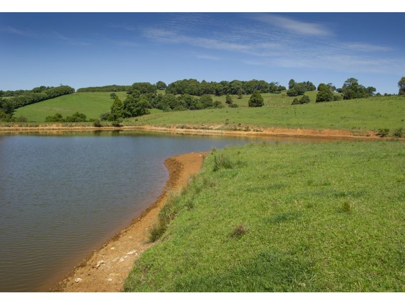 4948 Waterfall Way, Dorrigo NSW 2453
