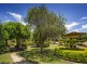51 Promised Land Loop Road, Bellingen NSW 2454