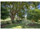 51 Promised Land Loop Road, Bellingen NSW 2454