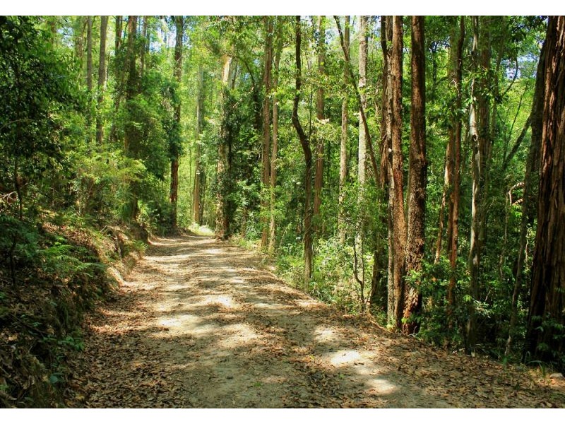 1265 South Arm Road, Bellingen NSW 2454