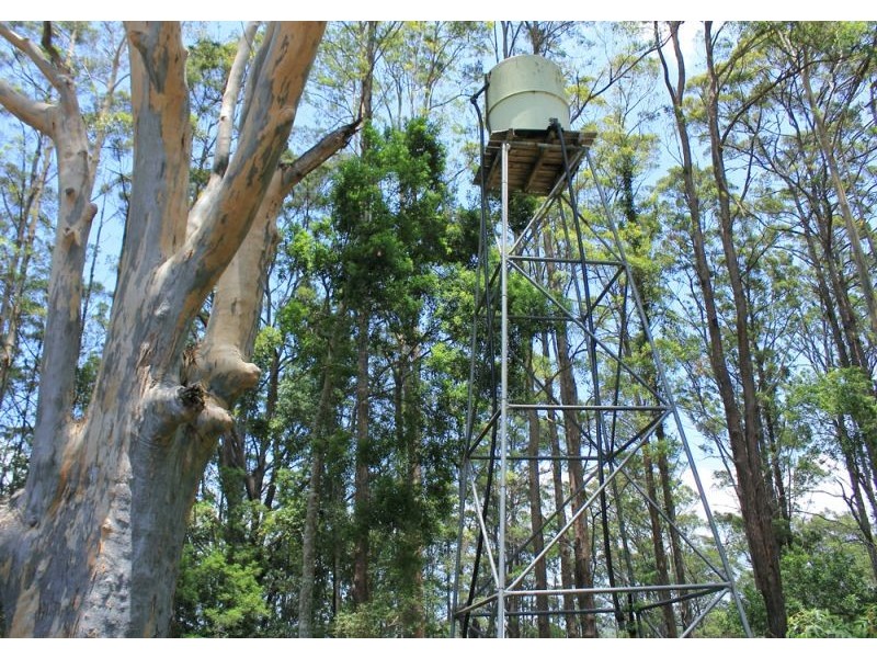 1265 South Arm Road, Bellingen NSW 2454