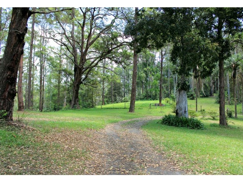 1265 South Arm Road, Bellingen NSW 2454
