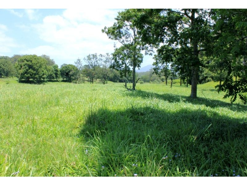 1265 South Arm Road, Bellingen NSW 2454