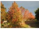 Lot 1, 285 Hydes Creek Road, Bellingen NSW 2454