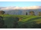 Lot 1, 285 Hydes Creek Road, Bellingen NSW 2454